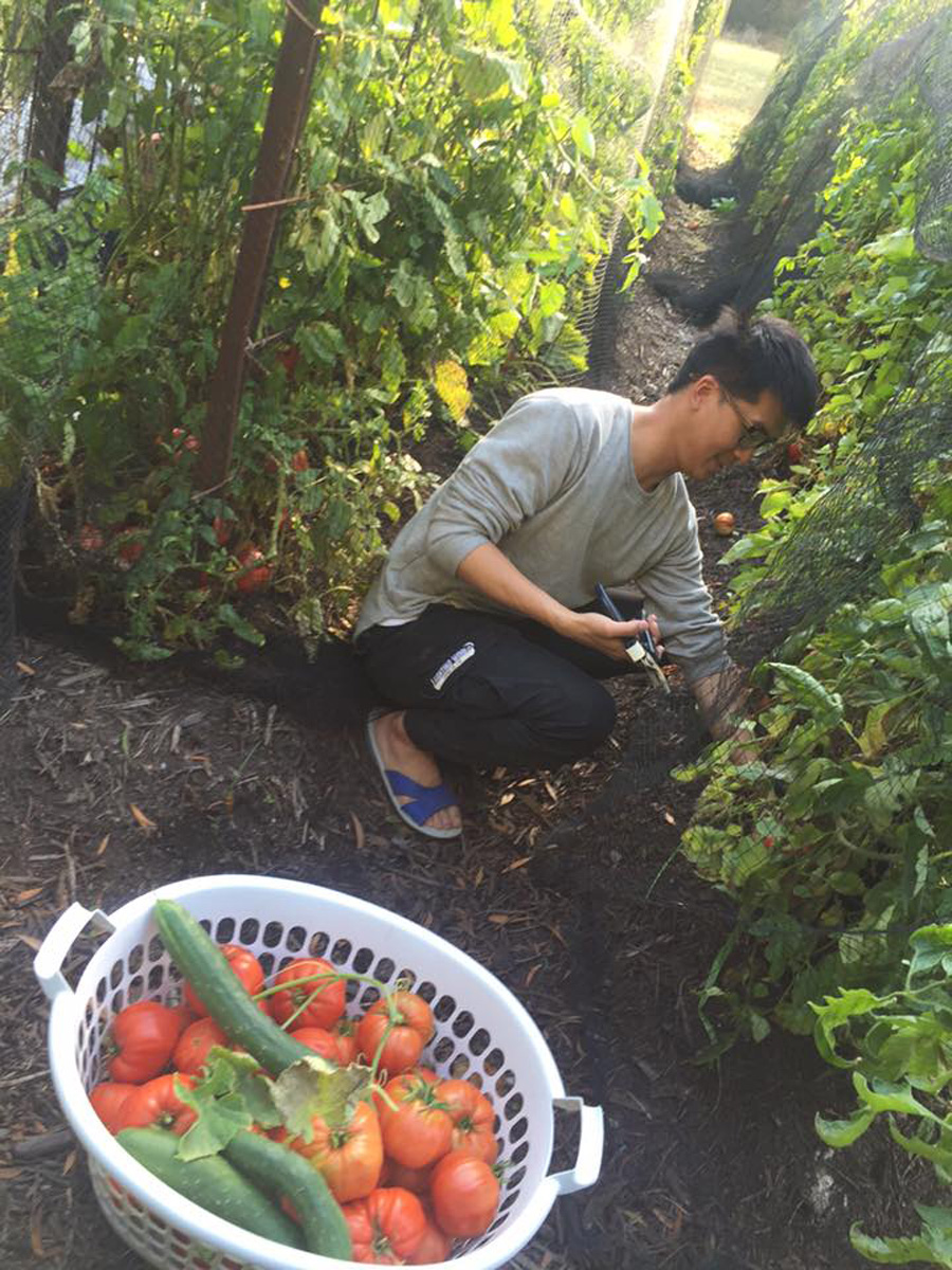 Reeping Produce 採番茄